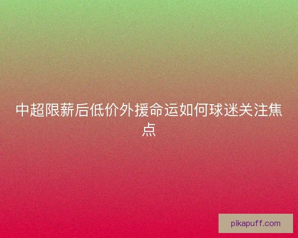 中超限薪后低价外援命运如何球迷关注焦点